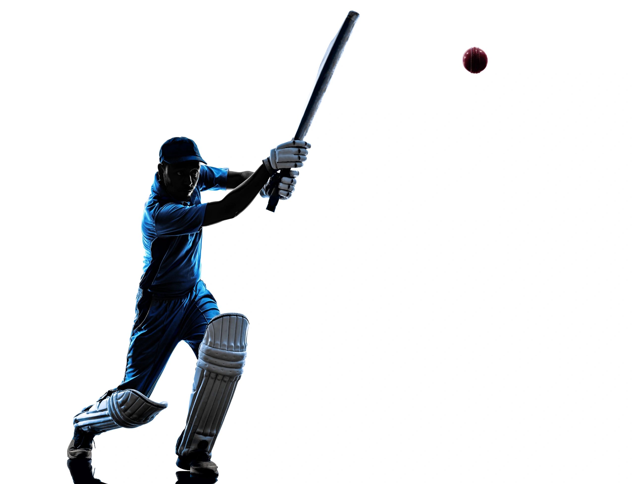 Cricket batter silhouette in action