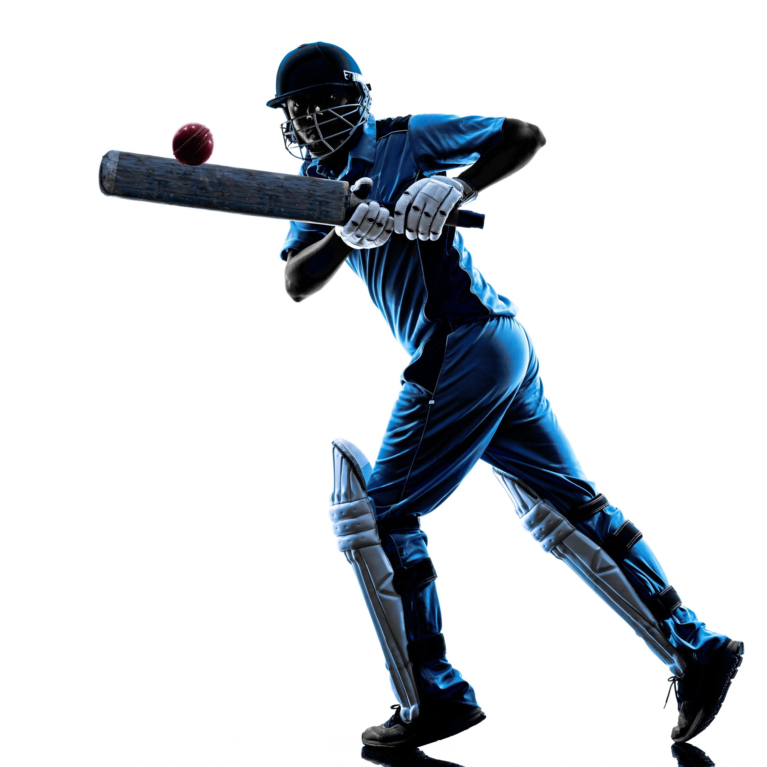 Cricket batter silhouette preparing a shot